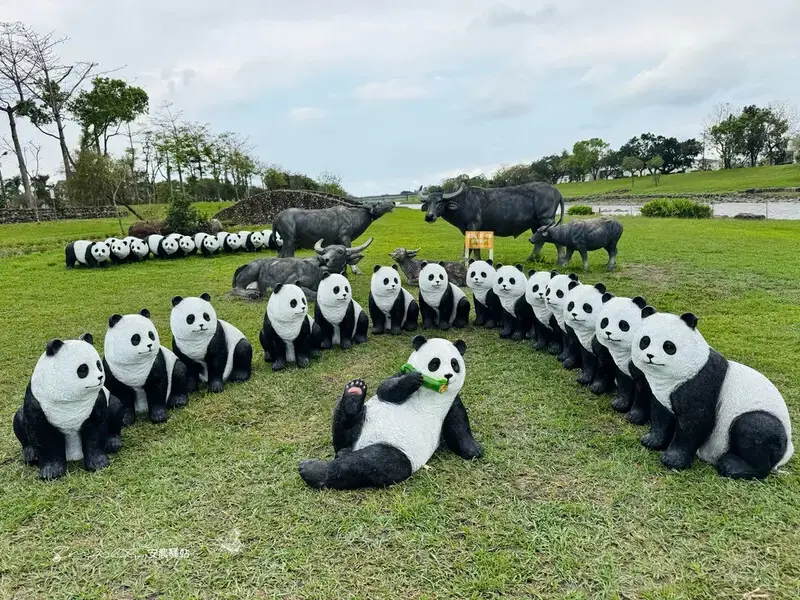 【安農溪驛站】超萌貓熊藝術裝置現身安農溪畔，快來拍照打卡遛小