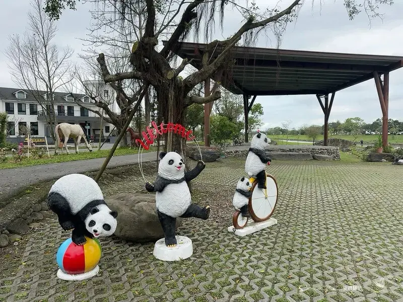 【安農溪驛站】超萌貓熊藝術裝置現身安農溪畔，快來拍照打卡遛小