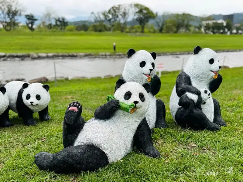 【安農溪驛站】超萌貓熊藝術裝置現身安農溪畔，快來拍照打卡遛小