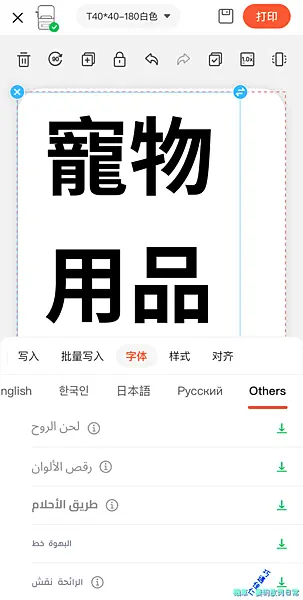 [文具] 精臣標籤機：D11、B21