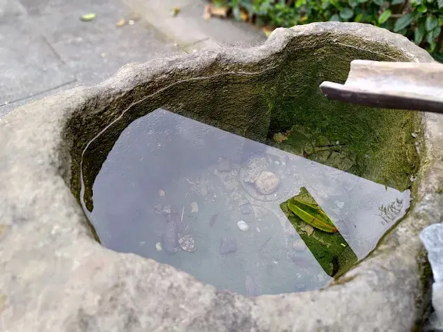 台肥海洋深層水園區 - 台肥構內社