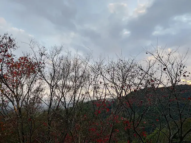 拱北殿 - 正見堂