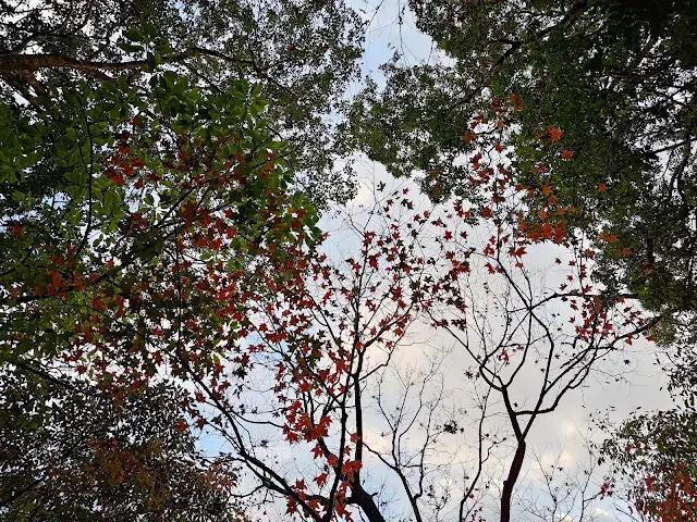 拱北殿 - 後山步道