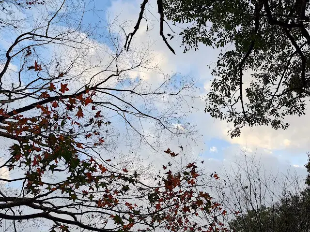 拱北殿 - 後山步道