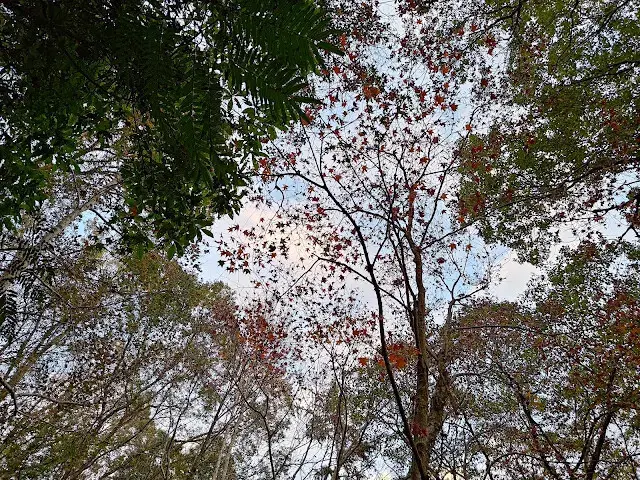 拱北殿 - 後山步道