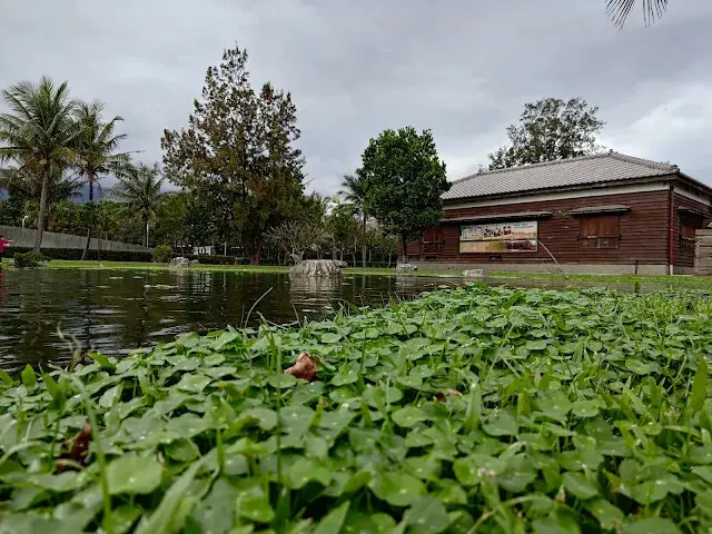 台肥海洋深層水園區 - 遇見花池