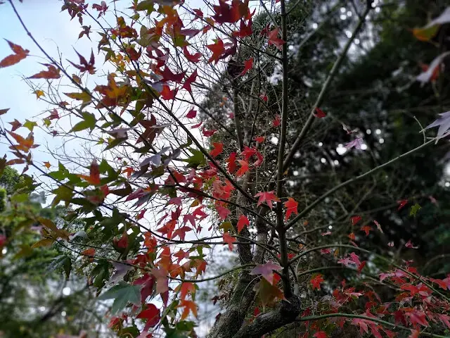 拱北殿 - 停車場