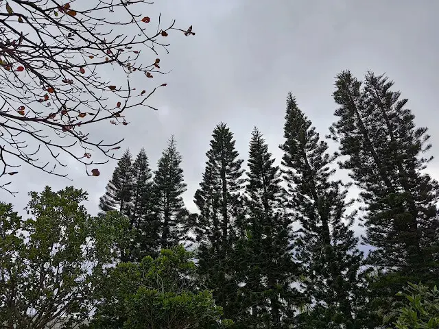 台肥海洋深層水園區 - 遇見花池