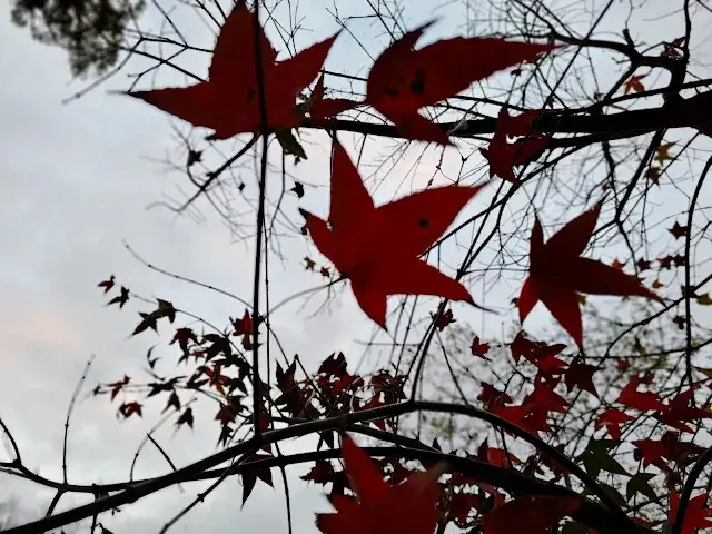 拱北殿 - 停車場