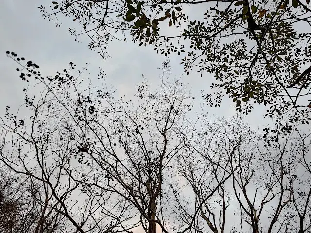 拱北殿 - 停車場