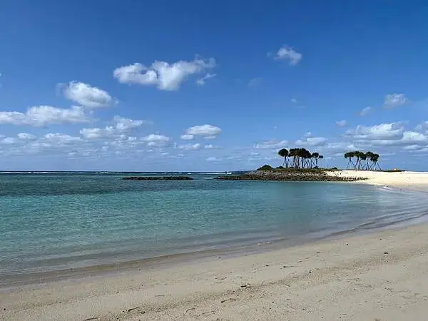 【日本沖繩北部最強景點】海洋博公園一日遊攻略(親子旅遊首選、