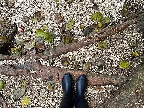 【日本沖繩必去景點、自由行、旅遊推薦】識名園全攻略│世界文化