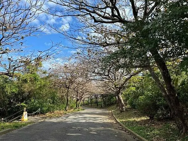 【日本沖繩北部平價住宿推薦】美麗海皇家景觀酒店│Royal 