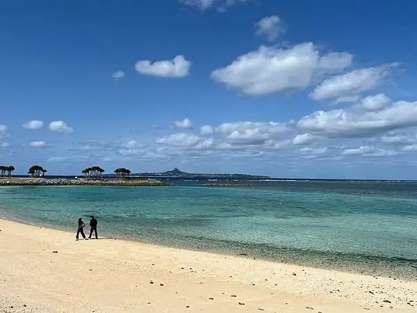 【日本沖繩北部最強景點】海洋博公園一日遊攻略(親子旅遊首選、
