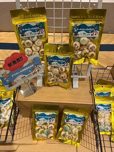 LINE_ALBUM_20241208沖繩DAY03_241210_21