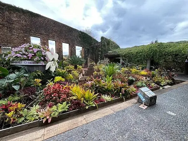 【日本沖繩親子旅遊推薦】熱帶夢想中心│門票、交通、特色全攻略