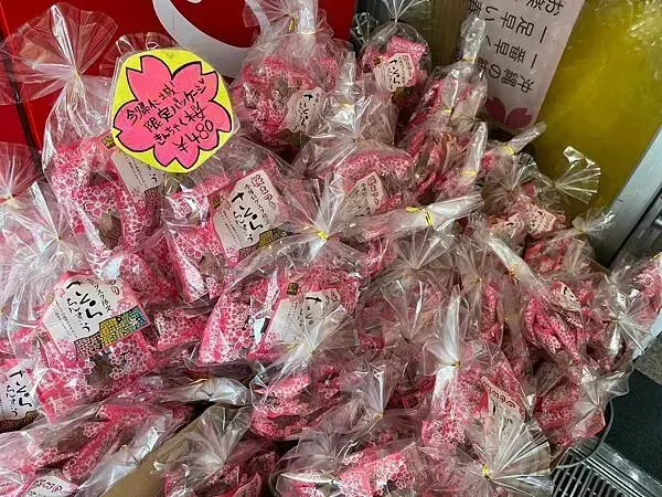 【日本沖繩親子景點推薦】今歸仁城跡怎麼玩？交通、歷史、景點攻