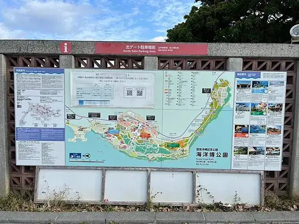 【日本沖繩北部最強景點】海洋博公園一日遊攻略(親子旅遊首選、