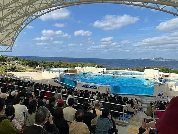 【日本沖繩北部最強景點】海洋博公園一日遊攻略(親子旅遊首選、