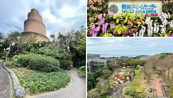 【日本沖繩北部最強景點】海洋博公園一日遊攻略(親子旅遊首選、