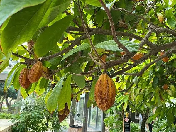 LINE_ALBUM_補充素材_250227_16