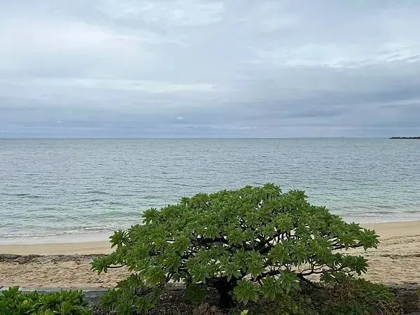 LINE_ALBUM_20241207沖繩DAY02_241220_134