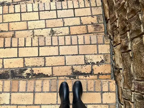 LINE_ALBUM_補充素材_250227_11