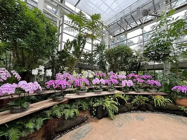 【日本沖繩親子旅遊推薦】熱帶夢想中心│門票、交通、特色全攻略