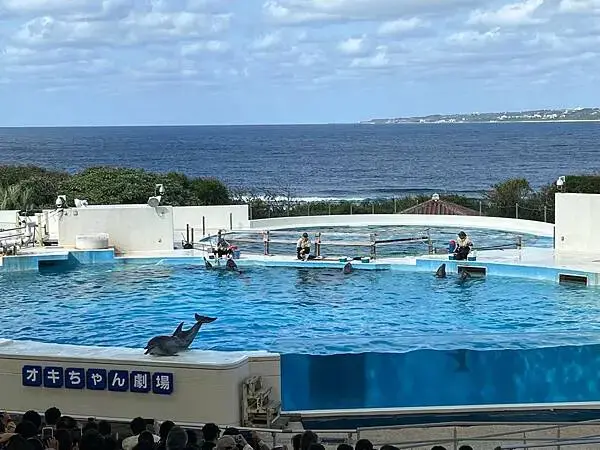 【日本沖繩北部最強景點】海洋博公園一日遊攻略(親子旅遊首選、