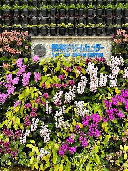 【日本沖繩親子旅遊推薦】熱帶夢想中心│門票、交通、特色全攻略