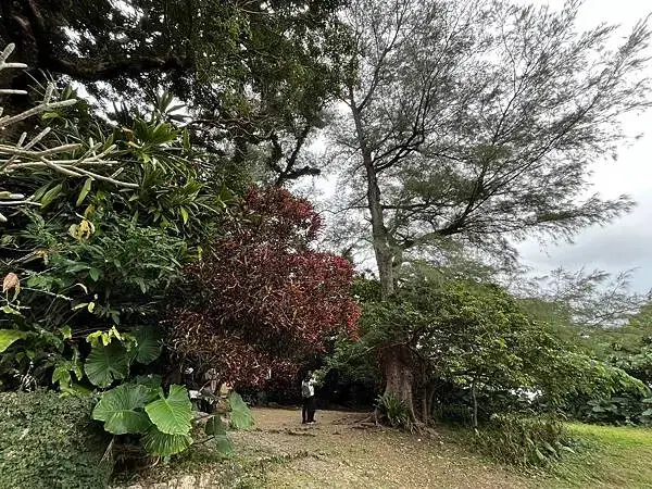 【日本沖繩必去景點、自由行、旅遊推薦】首里城全攻略│世界文化