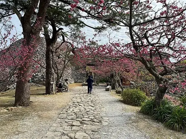 【日本沖繩親子景點推薦】今歸仁城跡怎麼玩？交通、歷史、景點攻