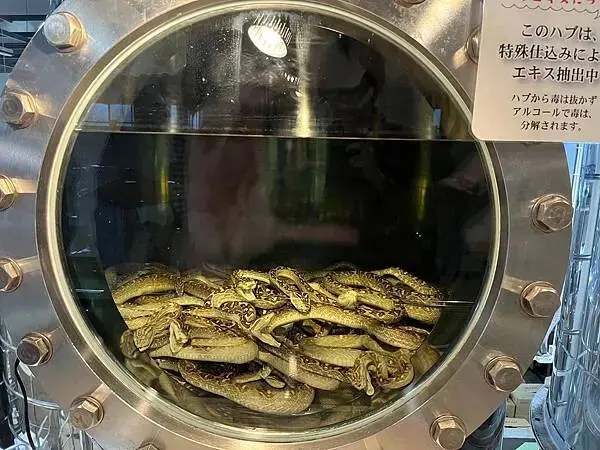 LINE_ALBUM_20241208沖繩DAY03_241210_206