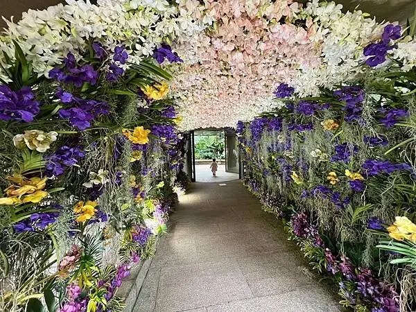 【日本沖繩親子旅遊推薦】熱帶夢想中心│門票、交通、特色全攻略