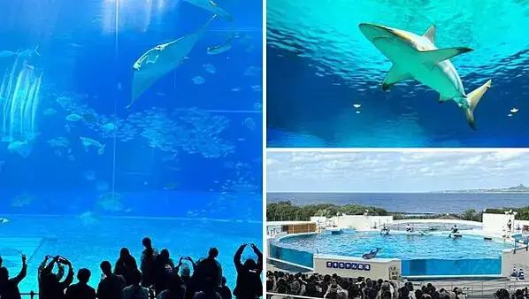 LINE_ALBUM_素材_250227_14