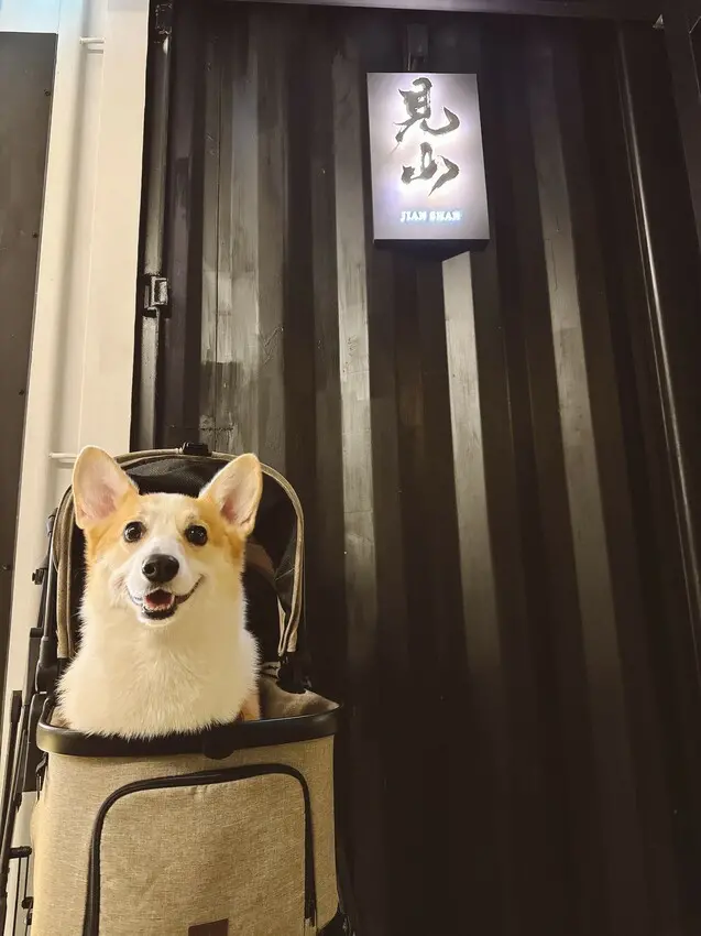 桃園市龍潭區龍潭乳姑山夜景區最新景點/見山景觀餐廳