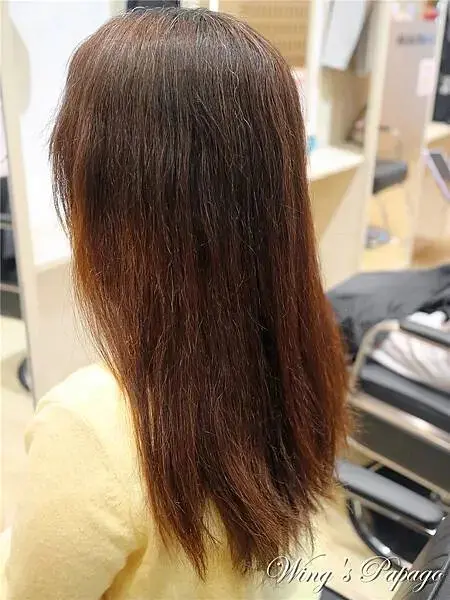 板橋染髮推薦，HITO Hair 館前店，超人氣美髮沙龍，光