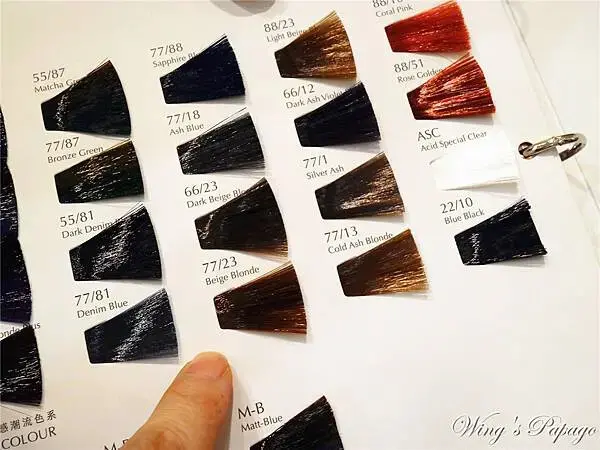 板橋染髮推薦，HITO Hair 館前店，超人氣美髮沙龍，光