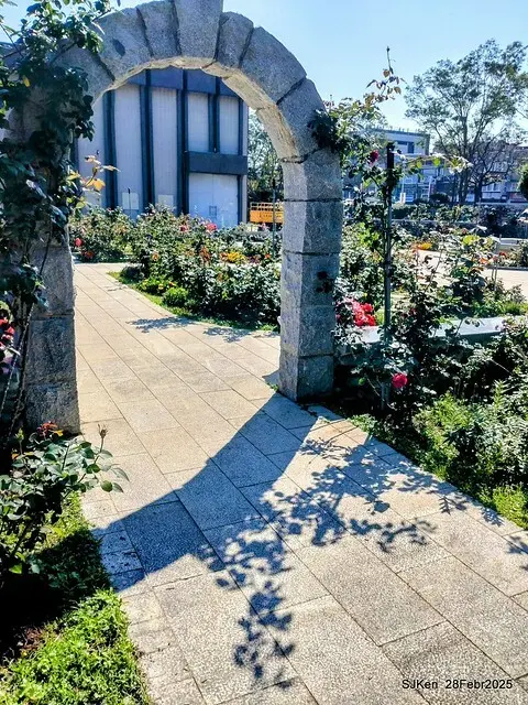 2025花博園區新生公園台北玫瑰園花展(2025 Annual Taipei Rose Garden festival), Mar 14 ~ Apr.13, 2025, Taipei, Taiwan, SJKen.