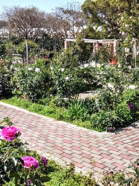 2025花博園區新生公園台北玫瑰園花展(2025 Annual Taipei Rose Garden festival), Mar 14 ~ Apr.13, 2025, Taipei, Taiwan, SJKen.