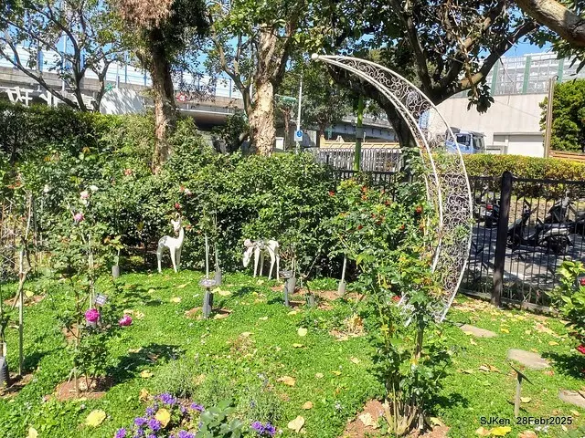 2025花博園區新生公園台北玫瑰園花展(2025 Annual Taipei Rose Garden festival), Mar 14 ~ Apr.13, 2025, Taipei, Taiwan, SJKen.