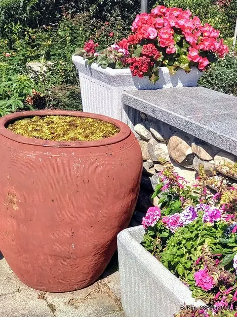 2025花博園區新生公園台北玫瑰園花展(2025 Annual Taipei Rose Garden festival), Mar 14 ~ Apr.13, 2025, Taipei, Taiwan, SJKen.