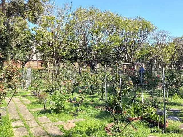 2025花博園區新生公園台北玫瑰園花展(2025 Annual Taipei Rose Garden festival), Mar 14 ~ Apr.13, 2025, Taipei, Taiwan, SJKen.