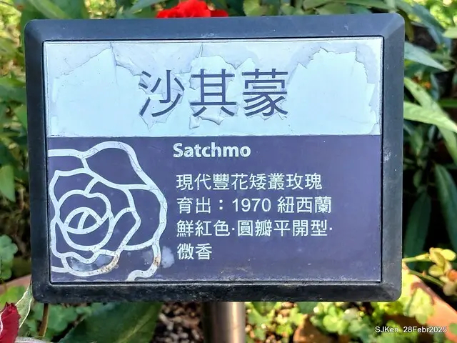 2025花博園區新生公園台北玫瑰園花展(2025 Annual Taipei Rose Garden festival), Mar 14 ~ Apr.13, 2025, Taipei, Taiwan, SJKen.