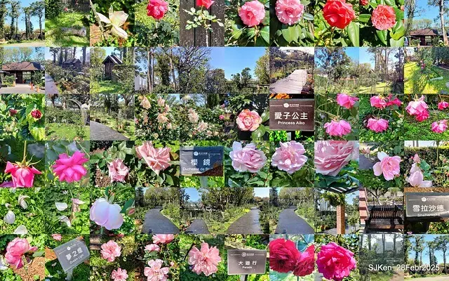 2025花博園區新生公園台北玫瑰園花展(2025 Annual Taipei Rose Garden festival), Mar 14 ~ Apr.13, 2025, Taipei, Taiwan, SJKen.