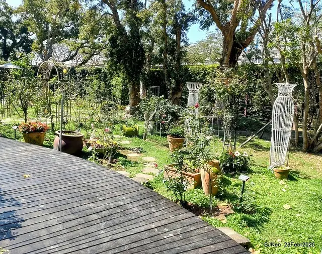 2025花博園區新生公園台北玫瑰園花展(2025 Annual Taipei Rose Garden festival), Mar 14 ~ Apr.13, 2025, Taipei, Taiwan, SJKen.