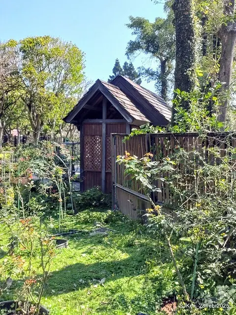 2025花博園區新生公園台北玫瑰園花展(2025 Annual Taipei Rose Garden festival), Mar 14 ~ Apr.13, 2025, Taipei, Taiwan, SJKen.