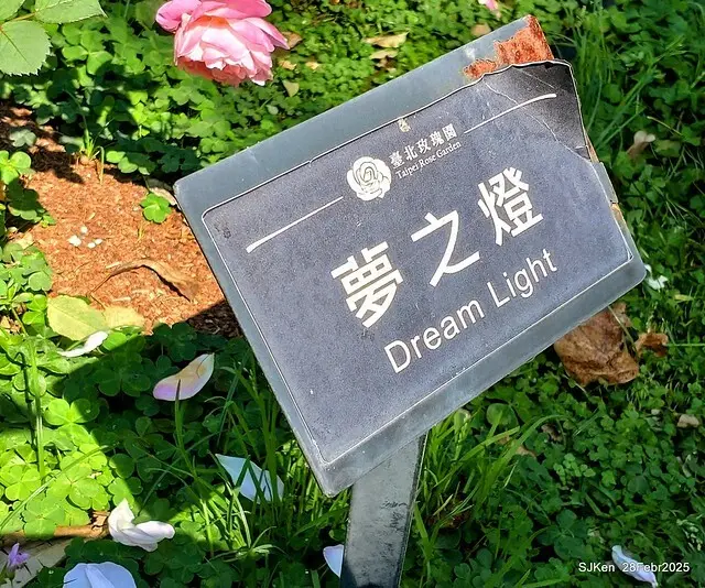 2025花博園區新生公園台北玫瑰園花展(2025 Annual Taipei Rose Garden festival), Mar 14 ~ Apr.13, 2025, Taipei, Taiwan, SJKen.