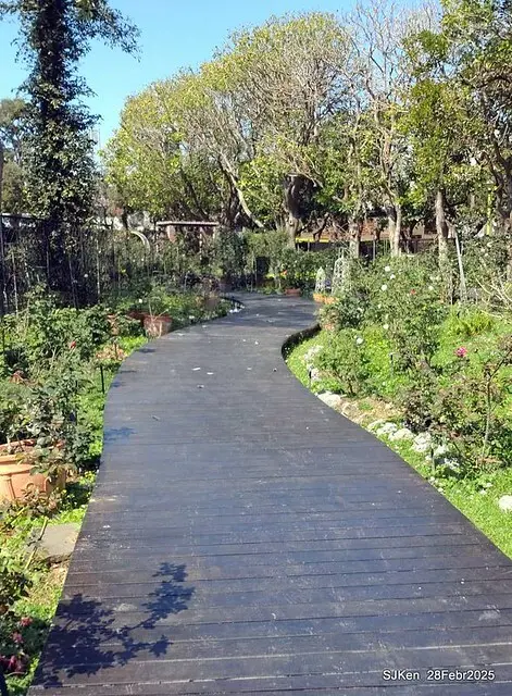 2025花博園區新生公園台北玫瑰園花展(2025 Annual Taipei Rose Garden festival), Mar 14 ~ Apr.13, 2025, Taipei, Taiwan, SJKen.