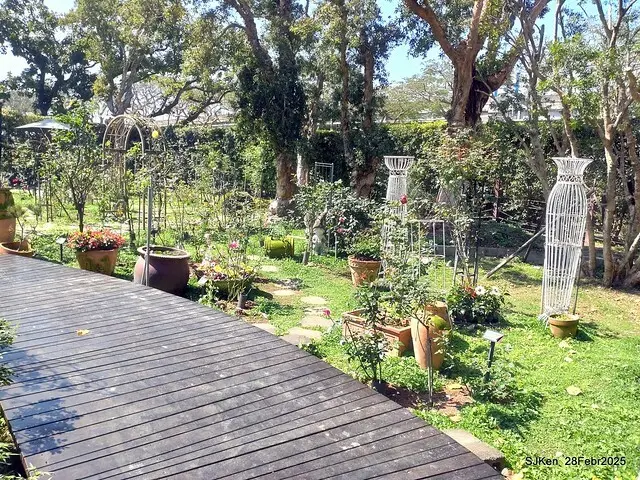 2025花博園區新生公園台北玫瑰園花展(2025 Annual Taipei Rose Garden festival), Mar 14 ~ Apr.13, 2025, Taipei, Taiwan, SJKen.